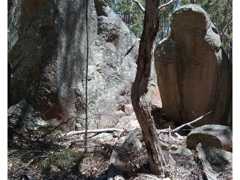 97 Browns Lane, Greenlands QLD 4380