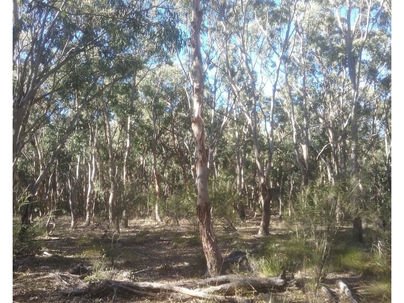 97 Browns Lane, Greenlands QLD 4380