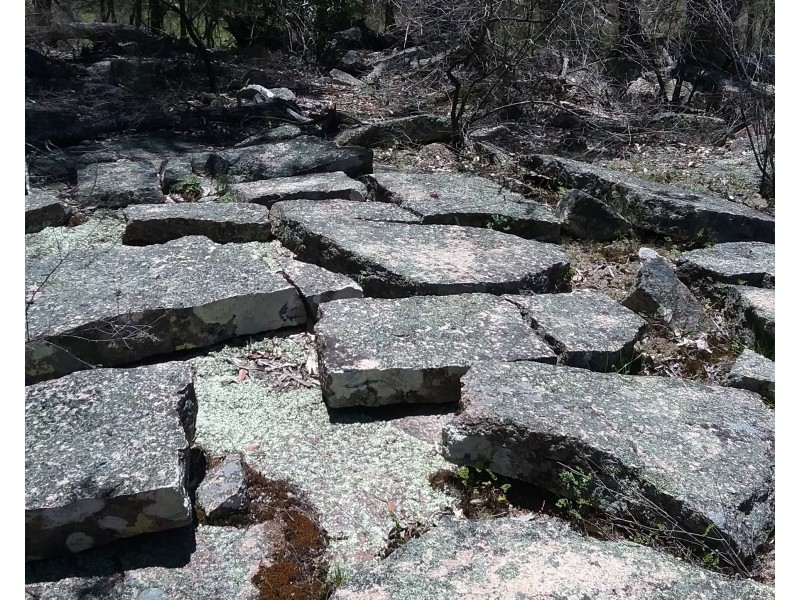 97 Browns Lane, Greenlands QLD 4380