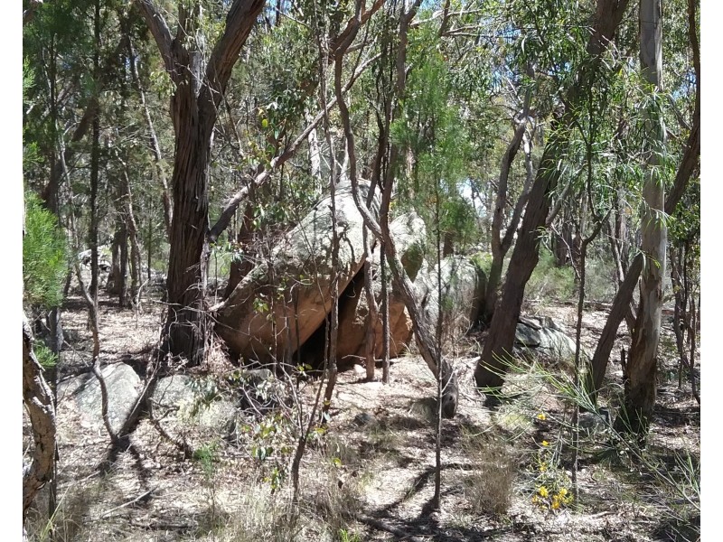 97 Browns Lane, Greenlands QLD 4380