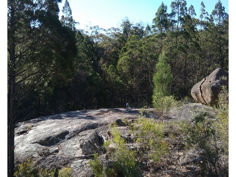 97 Browns Lane, Greenlands QLD 4380