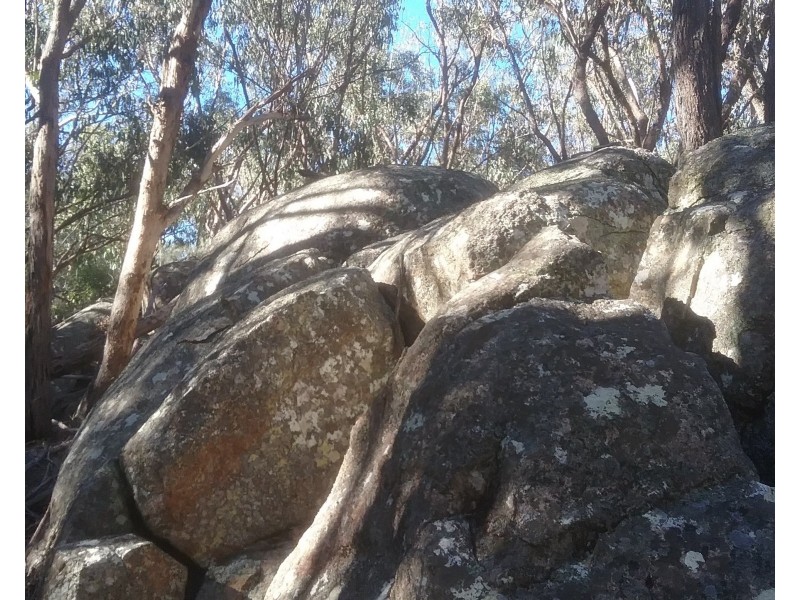 97 Browns Lane, Greenlands QLD 4380