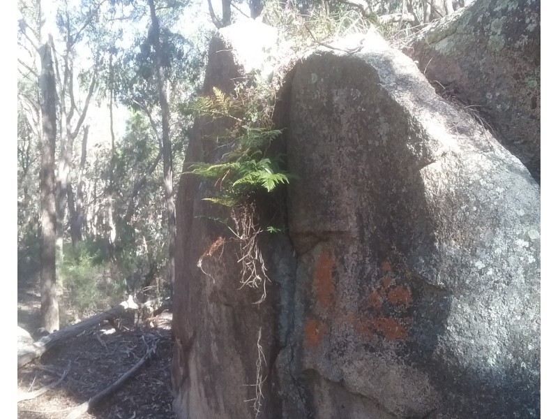 97 Browns Lane, Greenlands QLD 4380