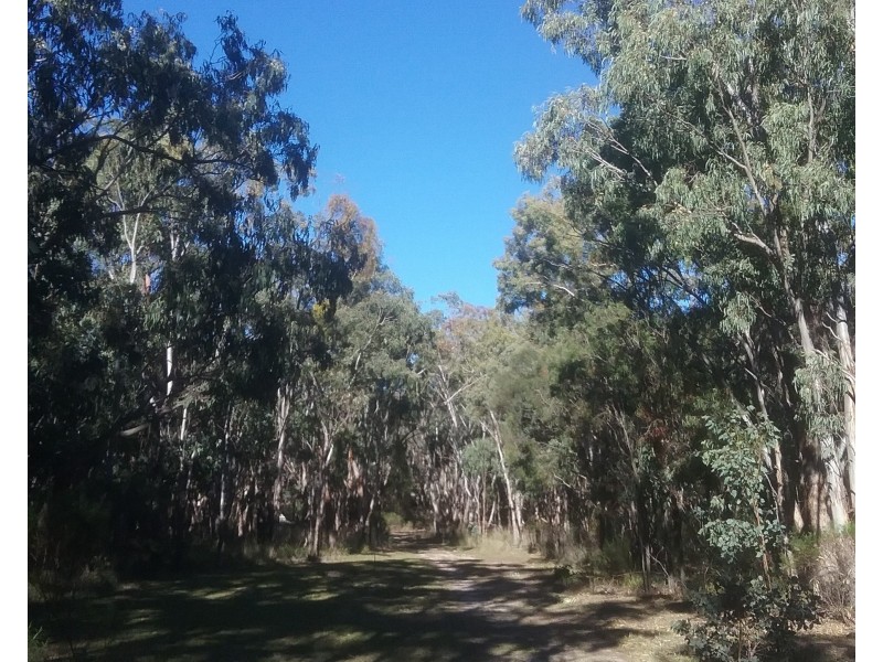 97 Browns Lane, Greenlands QLD 4380