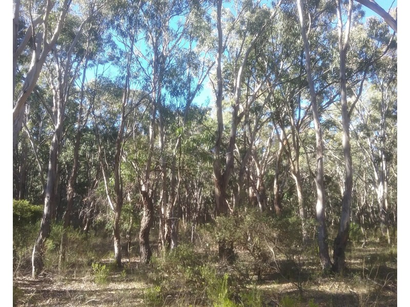 97 Browns Lane, Greenlands QLD 4380