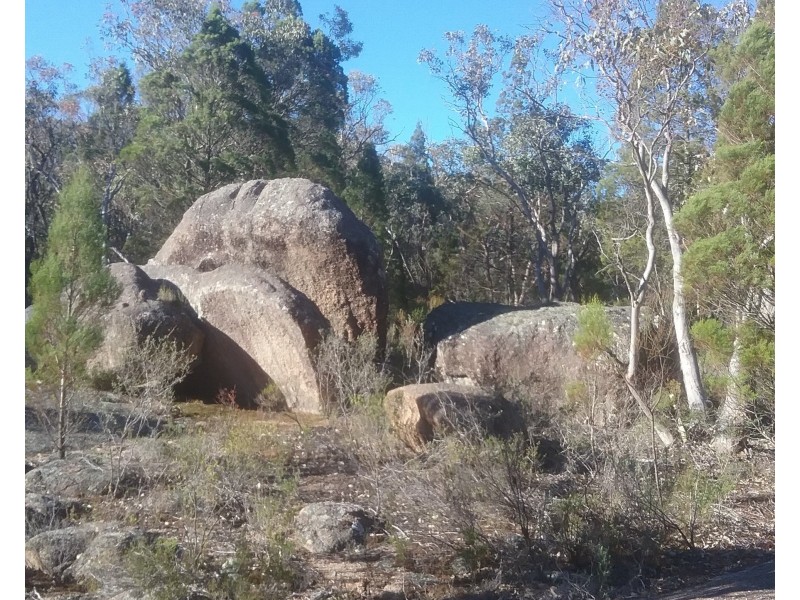 97 Browns Lane, Greenlands QLD 4380