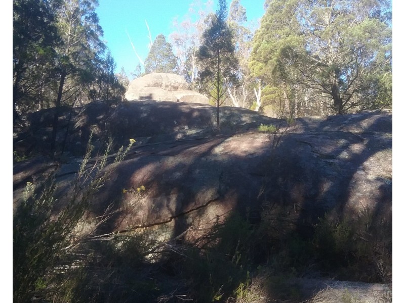 97 Browns Lane, Greenlands QLD 4380