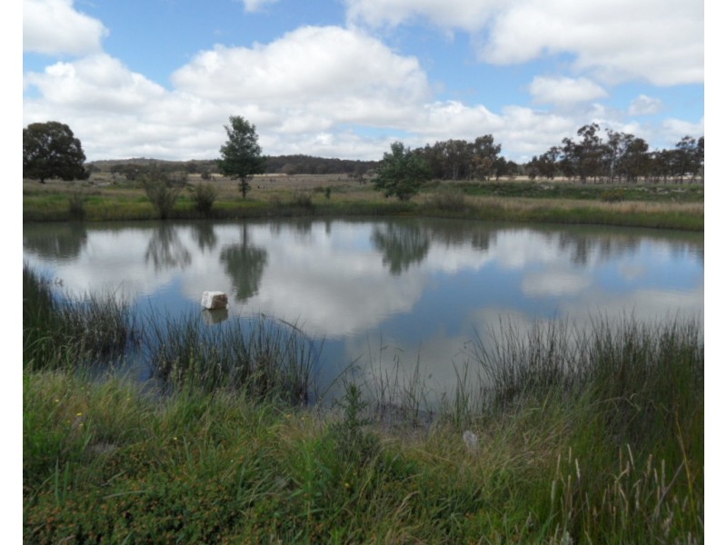 221 Nundubbermere Rd, Greenlands QLD 4380