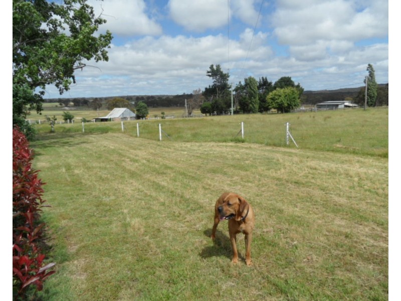 221 Nundubbermere Rd, Greenlands QLD 4380