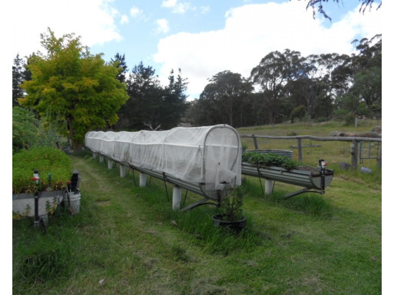 221 Nundubbermere Rd, Greenlands QLD 4380