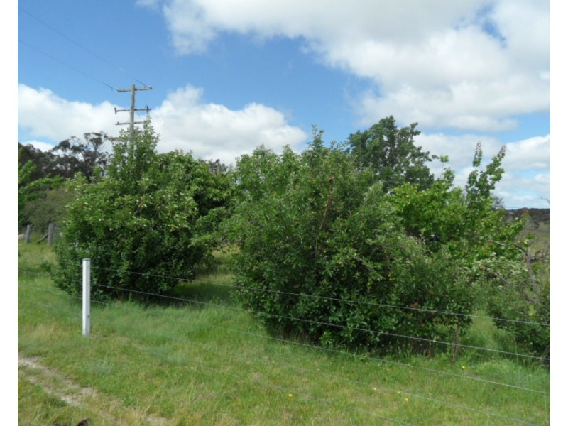 221 Nundubbermere Rd, Greenlands QLD 4380