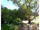 146 Barnes Road, Applethorpe QLD 4378