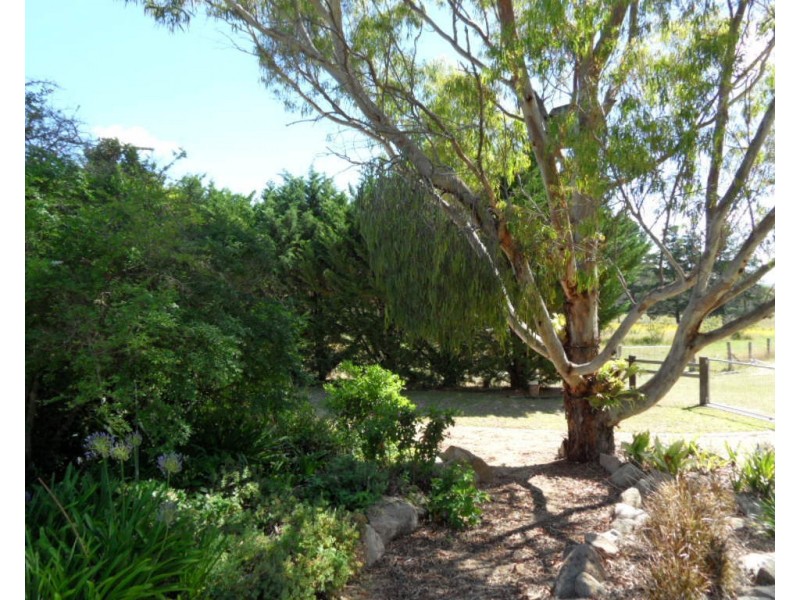 146 Barnes Road, Applethorpe QLD 4378