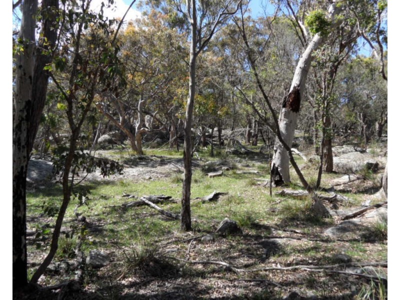 146 Barnes Road, Applethorpe QLD 4378