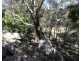 146 Barnes Road, Applethorpe QLD 4378