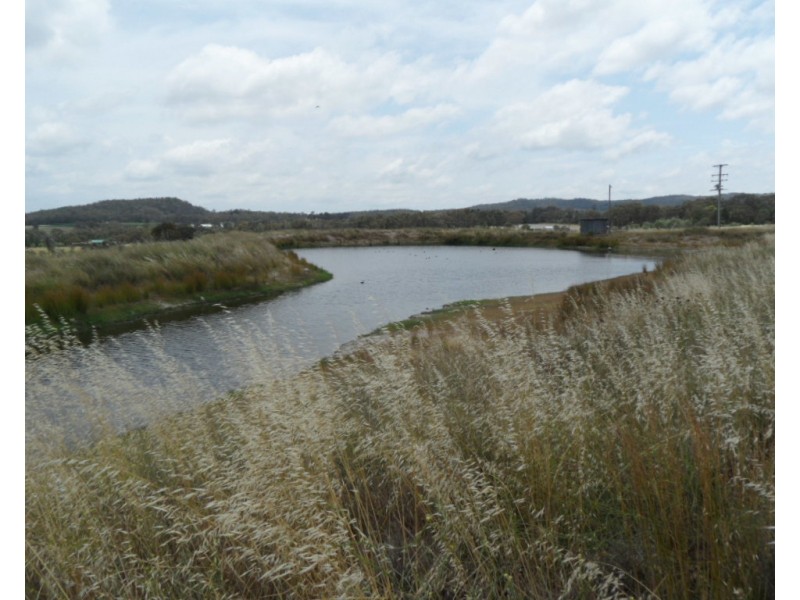 223 Back Creek Road, Severnlea QLD 4380