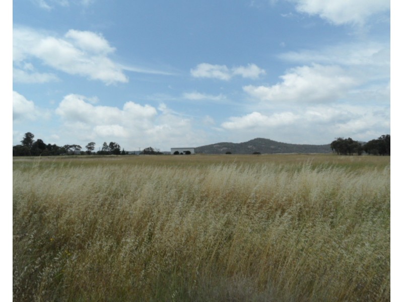 223 Back Creek Road, Severnlea QLD 4380