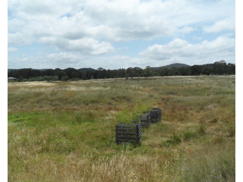 223 Back Creek Road, Severnlea QLD 4380