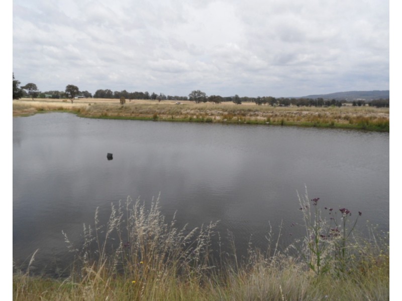 223 Back Creek Road, Severnlea QLD 4380