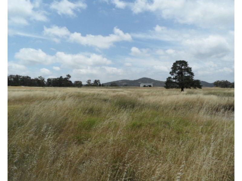 223 Back Creek Road, Severnlea QLD 4380