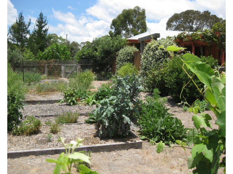 541 Dalcouth Rd, Stanthorpe QLD 4380