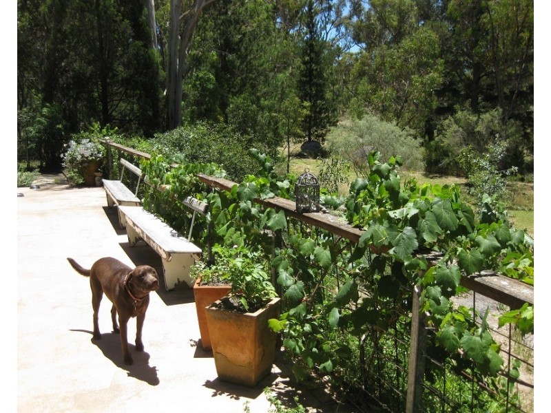 219 Caves Rd, Stanthorpe QLD 4380