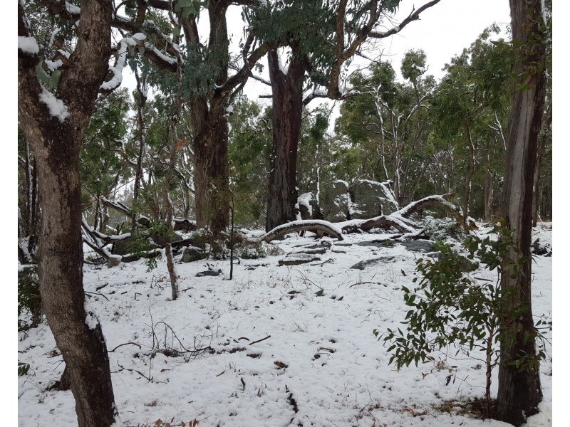 21 Philpott Lane, Greenlands QLD 4380