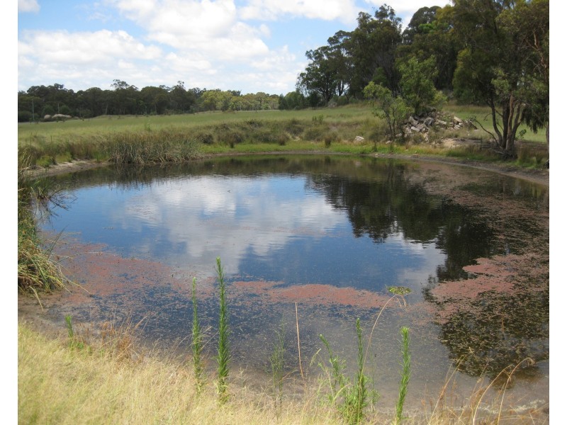 1955 Amiens Rd (North), Bapaume QLD 4352