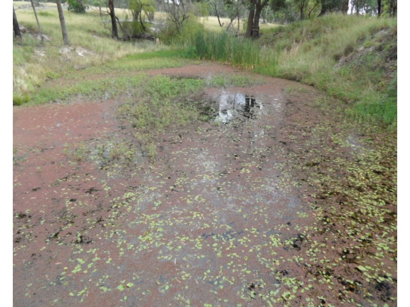 Eukey Road, Stanthorpe QLD 4380