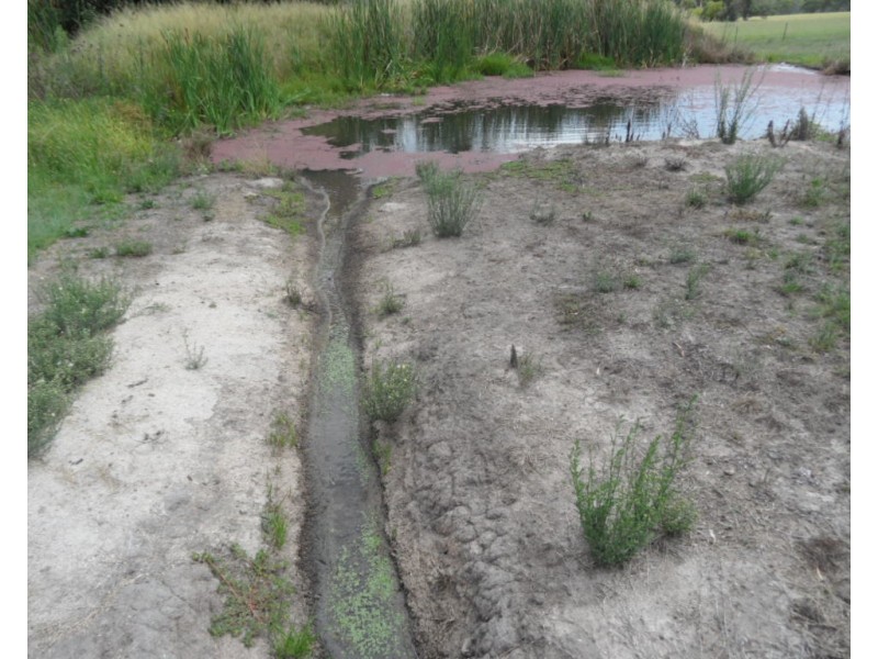 Eukey Road, Stanthorpe QLD 4380