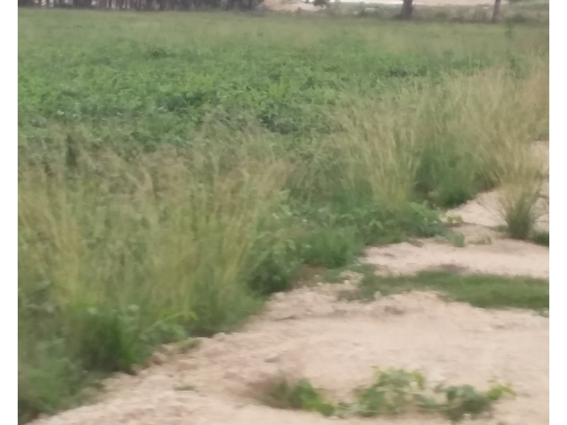 127 Summit Rd, Maryland NSW 4377