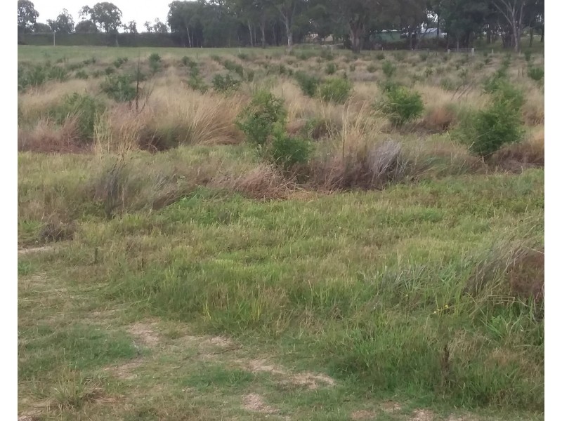 127 Summit Rd, Maryland NSW 4377