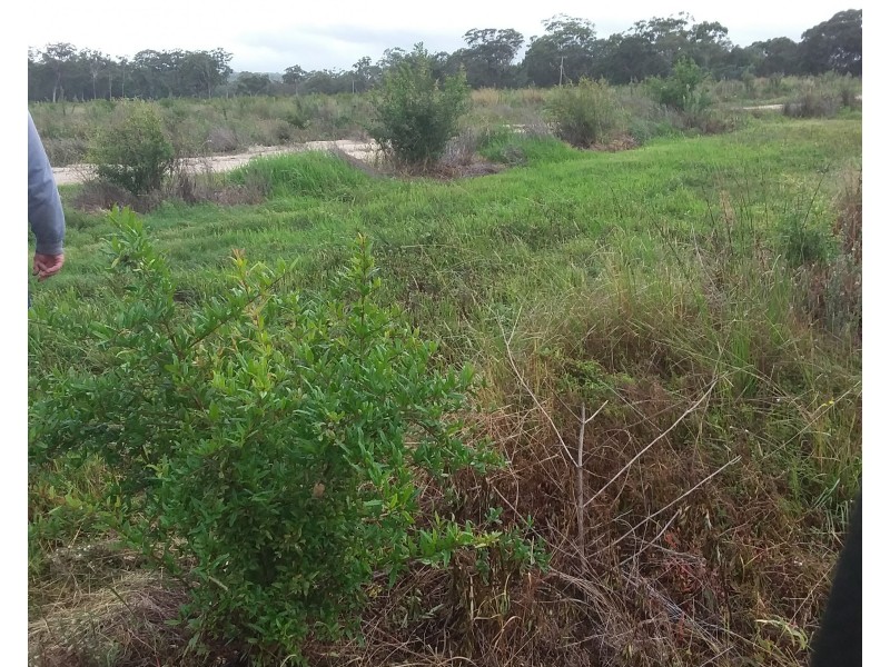 127 Summit Rd, Maryland NSW 4377