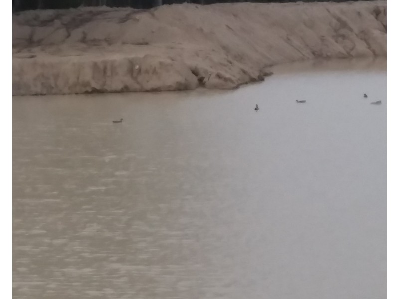 127 Summit Rd, Maryland NSW 4377