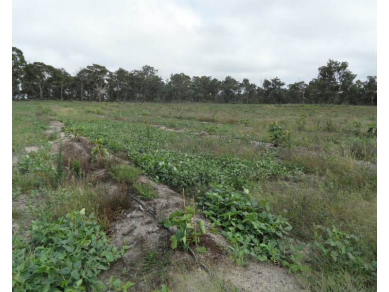 127 Summit Rd, Maryland NSW 4377