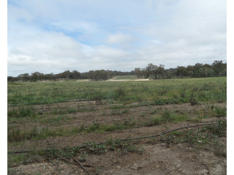 127 Summit Rd, Maryland NSW 4377