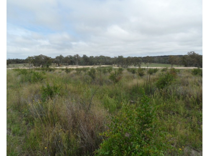 127 Summit Rd, Maryland NSW 4377