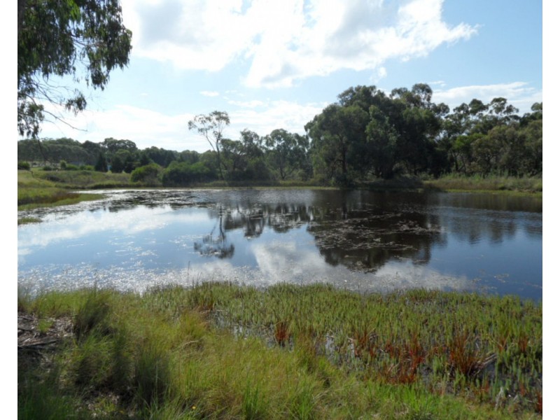 885 Sugarloaf Rd, Sugarloaf QLD 4380