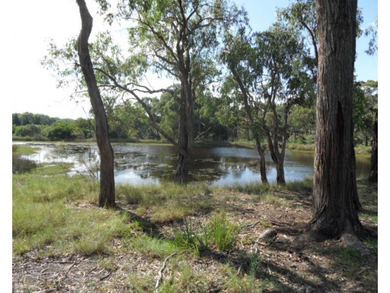 885 Sugarloaf Rd, Sugarloaf QLD 4380