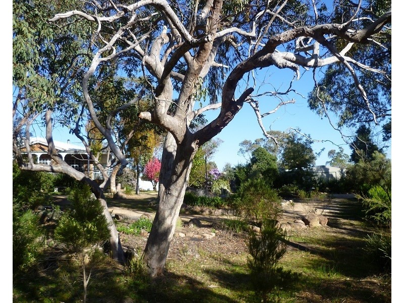 232 Townsend Rd, Glen Aplin QLD 4381