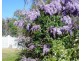 232 Townsend Rd, Glen Aplin QLD 4381