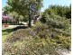 232 Townsend Rd, Glen Aplin QLD 4381