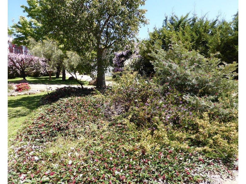 232 Townsend Rd, Glen Aplin QLD 4381