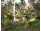 232 Townsend Rd, Glen Aplin QLD 4381