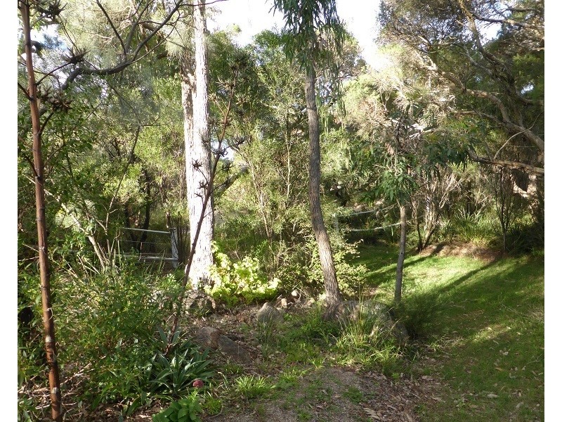 232 Townsend Rd, Glen Aplin QLD 4381
