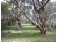 232 Townsend Rd, Glen Aplin QLD 4381