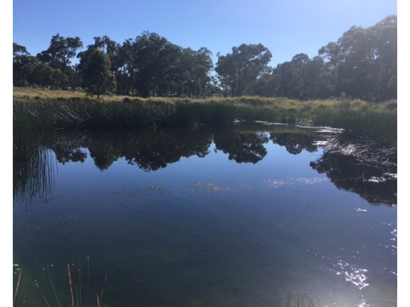 180 Maryland Road, Liston NSW 2372