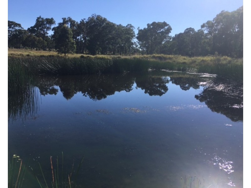 180 Maryland Road, Liston NSW 2372