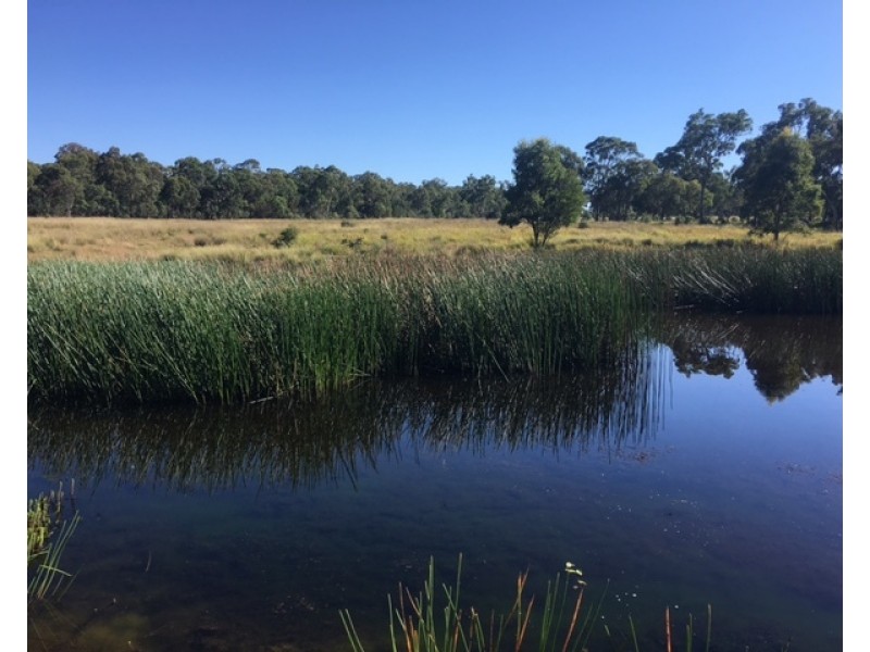 180 Maryland Road, Liston NSW 2372