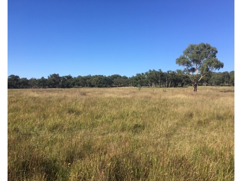 180 Maryland Road, Liston NSW 2372